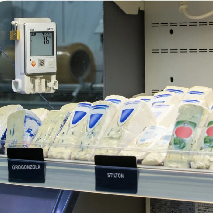 Testo 162 T1 Online Data Logger with Temperature Sensor